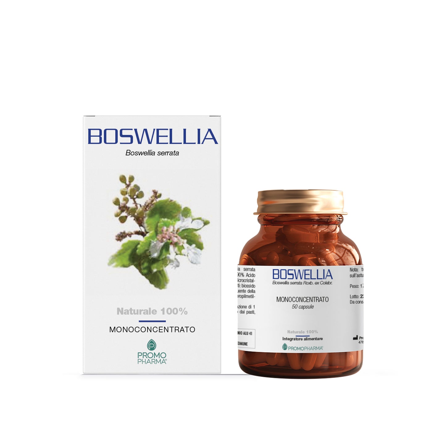 Boswellia - Monoconcentrato