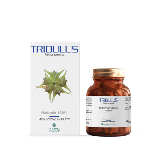 Tribulus - Monoconcentrato